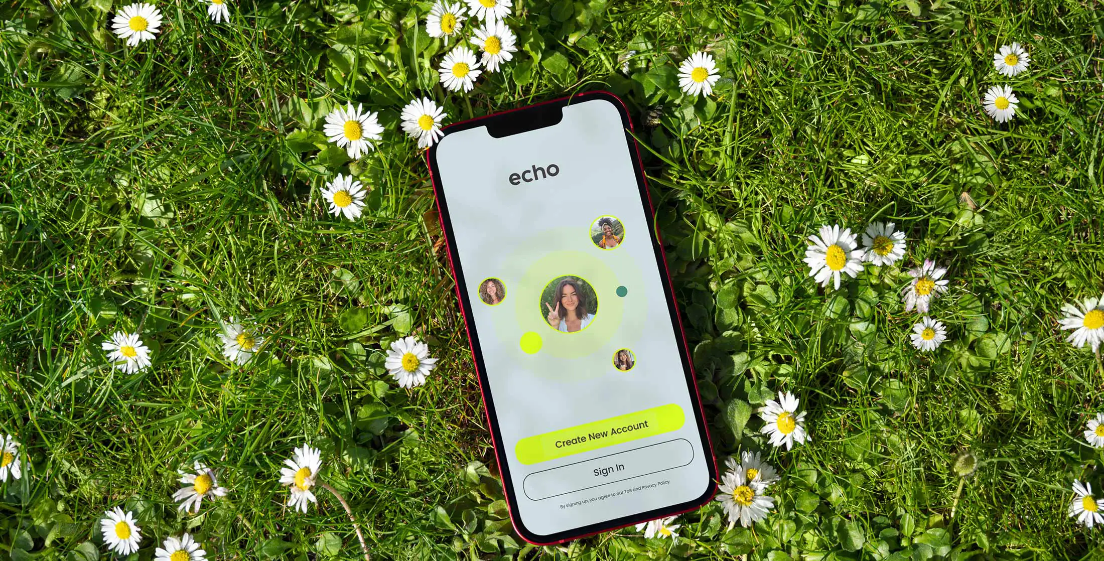 Echo app shown on a phone resting in grass and daisies