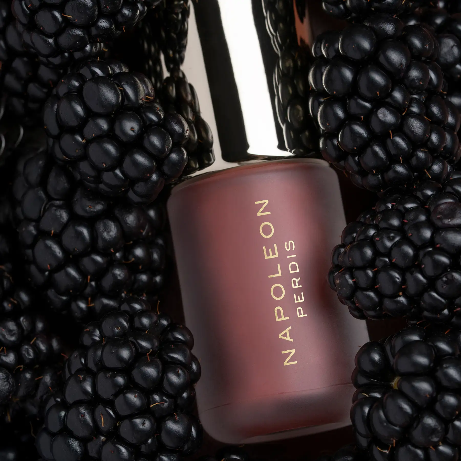 Napoleon Perdis lip gloss photographed among blackberries in low light