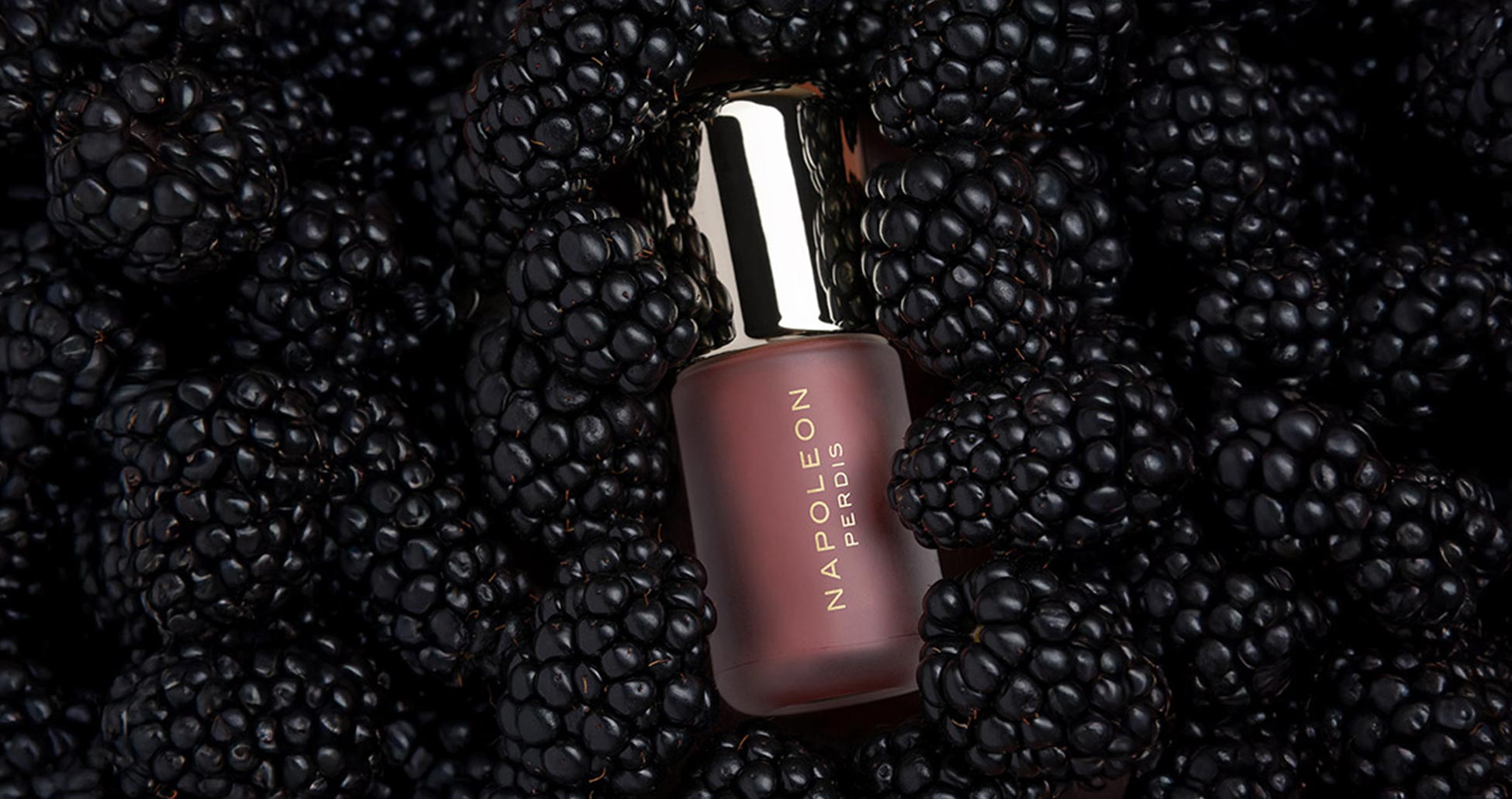 branding-napoleonperdis